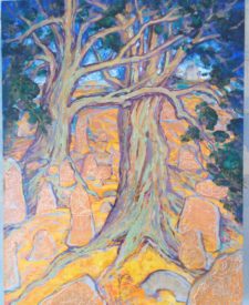 Прошча. Дамашкавічы. Восень, 2018