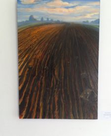 Крапіўнае поле. Вечар, 2014